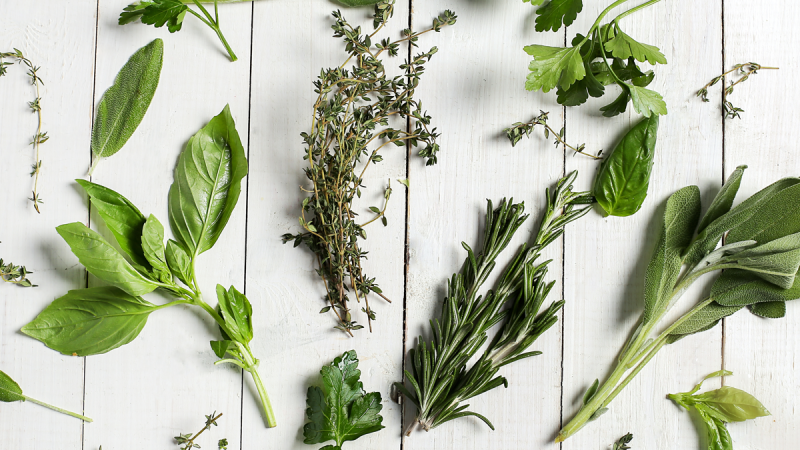 Comment faire pousser des herbes aromatiques chez soi : Tout ce que vous devez savoir